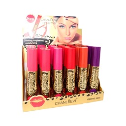 gloss matte (labial liquido matte)