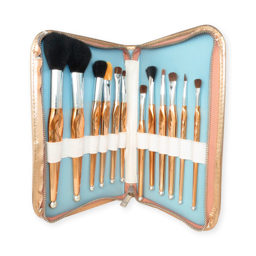 brochas set dbronce con12pz