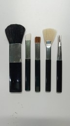 brochas set con 5 piezas b.r