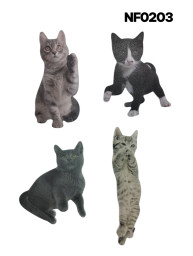 lima gatito b.r